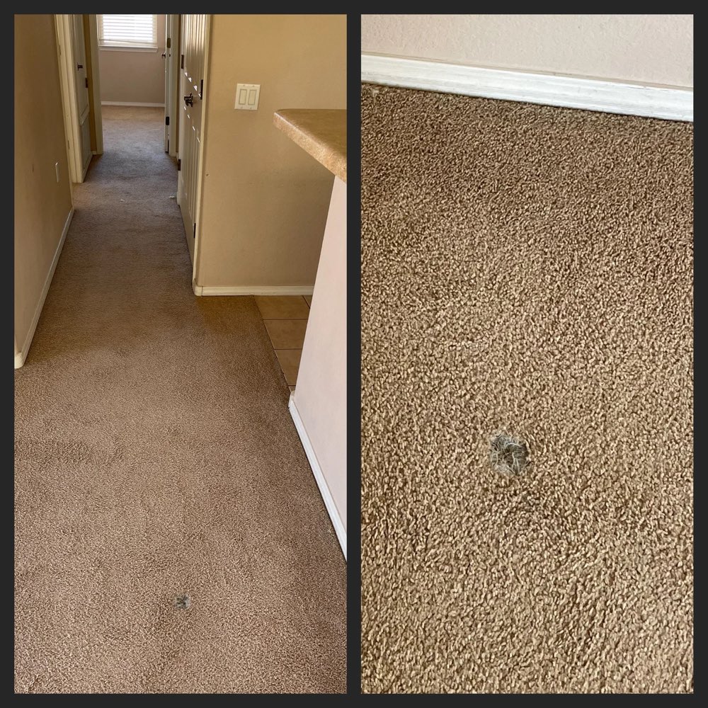 Hallway carpet and a close-up of a repaired patch